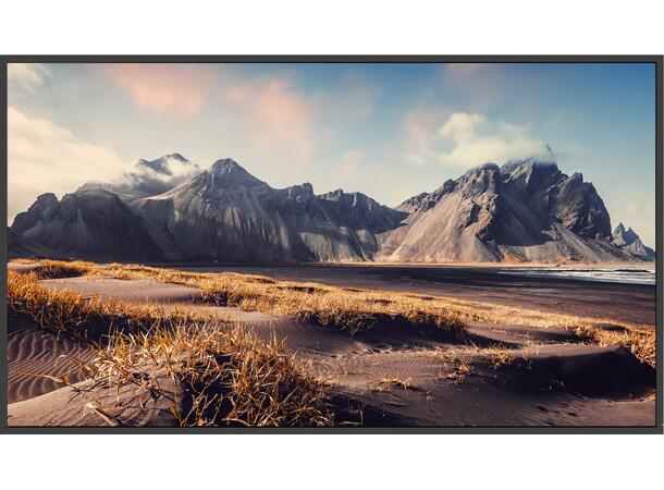 MAXHUB 55" 4K Display 500nits 24/7 USB-C (65W), Haze 25%, veggfeste ink.